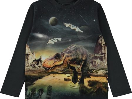 Molo T-Rex Planet Reif Tröja For Discount